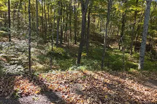 15321 Black Log Vly Rd, Orbisonia, PA 17243 - Photo 11