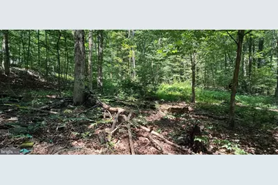 88 Farm House Ln, Orbisonia, PA 17243 - Photo 29