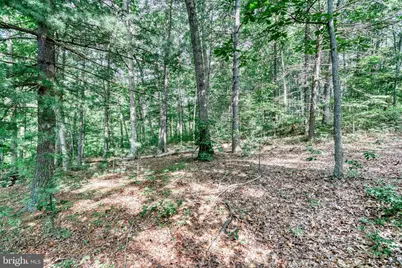 31 Neely Road, Mifflin, PA 17058 - Photo 19