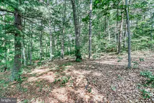 31 Neely Rd, Mifflin, PA 17058 - Photo 19