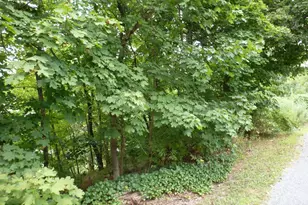 202 Licking St, Mifflin, PA 17058 - Photo 25