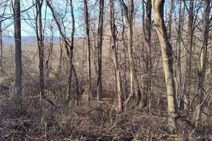 1339 Spruce Hill Rd, Port Royal, PA 17082 - Photo 23