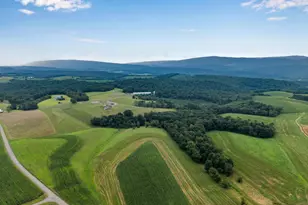 729 729 Gloss Rd, Honey Grove, PA 17035 - Photo 5