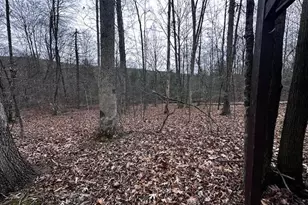 4998 Black Log Rd, Orbisonia, PA 17243 - Photo 23