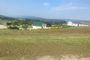 33 Hl Crst Dr, Mifflin, PA 17058 - Photo 1