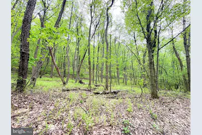 0 Over Hill Road, Thompsontown, PA 17094 - Photo 3