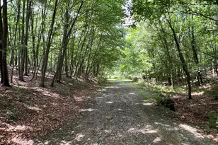 2336 Hog Hollow Rd, East Waterford, PA 17021 - Photo 25