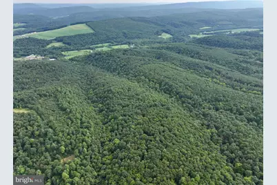 McCoy Road, Thompsontown, PA 17094 - Photo 19