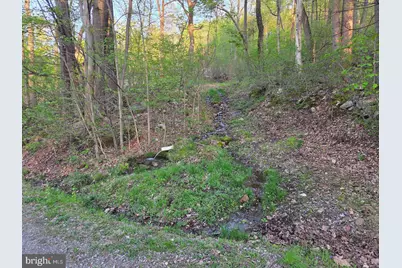 491 Wild Area Lane, Thompsontown, PA 17094 - Photo 39