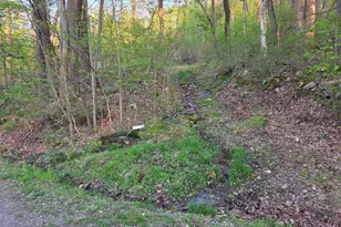 491 Wild Area Ln, Thompsontown, PA 17094 - Photo 39