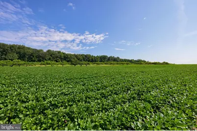 429 E Delp Road, Lancaster, PA 17601 - Photo 65