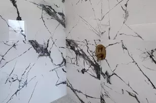 514 Dolly Dr, Lancaster, PA 17601 - Photo 53