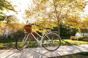 1133 Collina Ln, Mount Joy, PA 17552 - Photo 19