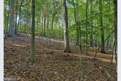 58 Buck Run Road, Conestoga, PA 17516 - Photo 7