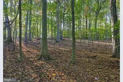 58 Buck Run Road, Conestoga, PA 17516 - Photo 9