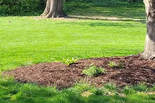 2343 Hancock Dr, Lancaster, PA 17601 - Photo 5