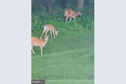 208 Foxcroft Lane, Robesonia, PA 19551 - Photo 69