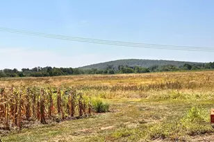 27 Lausch Rd, Denver, PA 17517 - Photo 19