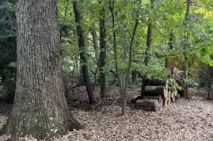 1022 Elwood St, Narvon, PA 17555 - Photo 35