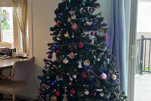 35 Duffield Dr, Lititz, PA 17543 - Photo 13