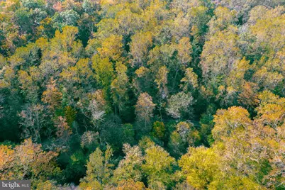 0 Pequea Boulevard, Conestoga, PA 17516 - Photo 5