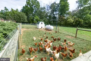 425 Mill Creek Rd, Bird in Hand, PA 17505 - Photo 59