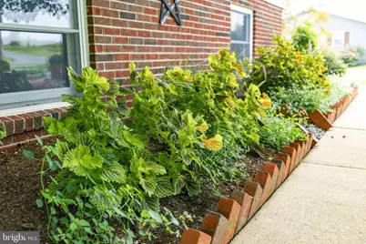 425 Mill Creek Road, Bird in Hand, PA 17505 - Photo 95