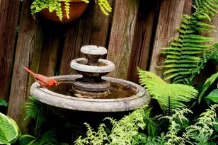 37 N Charlotte St, Lancaster, PA 17603 - Photo 27