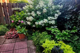 37 N Charlotte St, Lancaster, PA 17603 - Photo 49