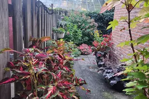 37 N Charlotte St, Lancaster, PA 17603 - Photo 63