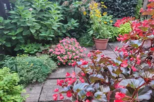 37 N Charlotte St, Lancaster, PA 17603 - Photo 65