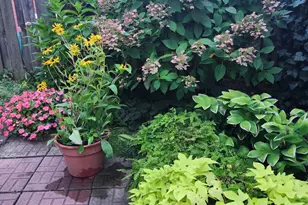 37 N Charlotte St, Lancaster, PA 17603 - Photo 67