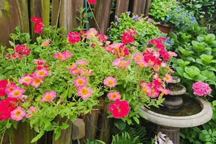 37 N Charlotte St, Lancaster, PA 17603 - Photo 51