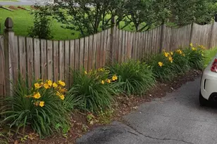 356 E High St, Elizabethtown, PA 17022 - Photo 43