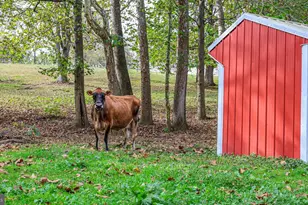 240 Evans Rd, Lititz, PA 17543 - Photo 59