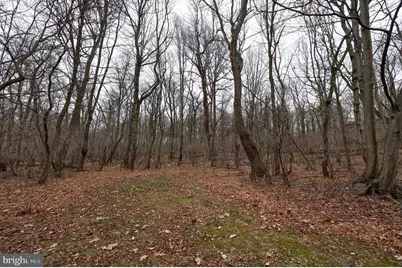 291 Douts Hill Road, Holtwood, PA 17532 - Photo 43