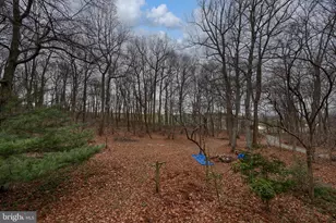 291 Douts Hill Rd, Holtwood, PA 17532 - Photo 41