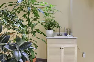 81 S Linden St, Manheim, PA 17545 - Photo 47