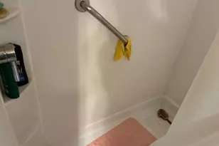 222 Main St, Denver, PA 17517 - Photo 19