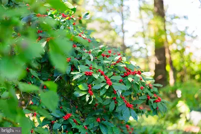 816 Tarpley Drive, Lancaster, PA 17601 - Photo 93