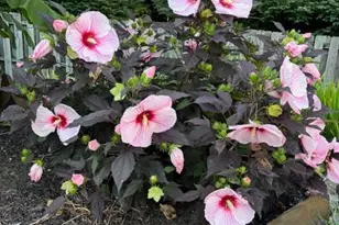 1014 Shadowstone Dr, Lancaster, PA 17603 - Photo 51