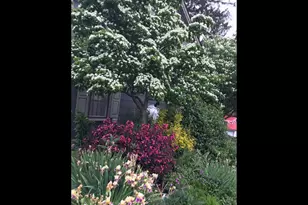 [Address not provided], Paradise, PA 17562 - Photo 21