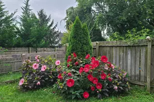 421 Rohrerstown Rd, Lancaster, PA 17603 - Photo 35