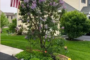 5123 Summerfield Dr, Mount Joy, PA 17552 - Photo 45