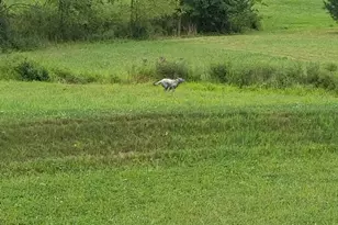 103 E Woods Dr, Lititz, PA 17543 - Photo 53