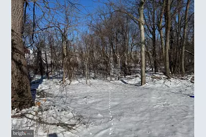 303 Hilldale Road, Pequea, PA 17565 - Photo 3