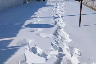 747 Manor St, Lancaster, PA 17603 - Photo 23