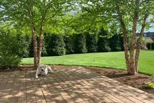 114 Rothsville Station Rd, Lititz, PA 17543 - Photo 49