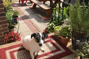 622 S Pearl St, Lancaster, PA 17603 - Photo 31