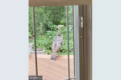 121 Angela Drive, New Holland, PA 17557 - Photo 81